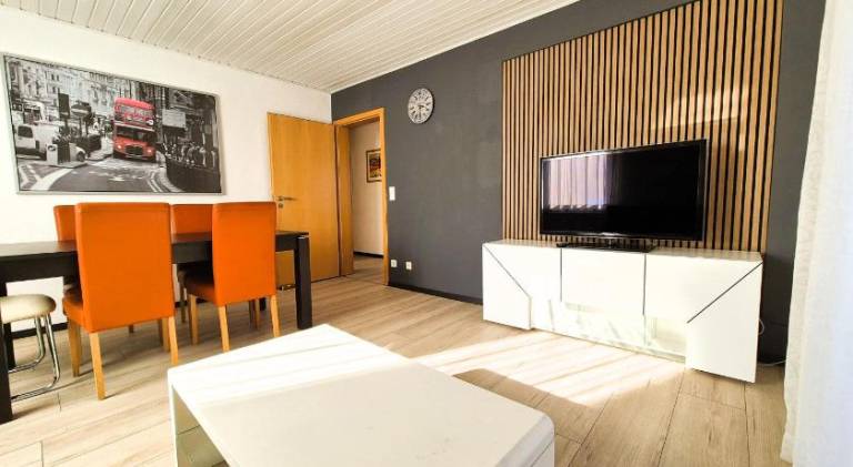 Pleasant apartment | Pets are welcome in Friedrichshafen