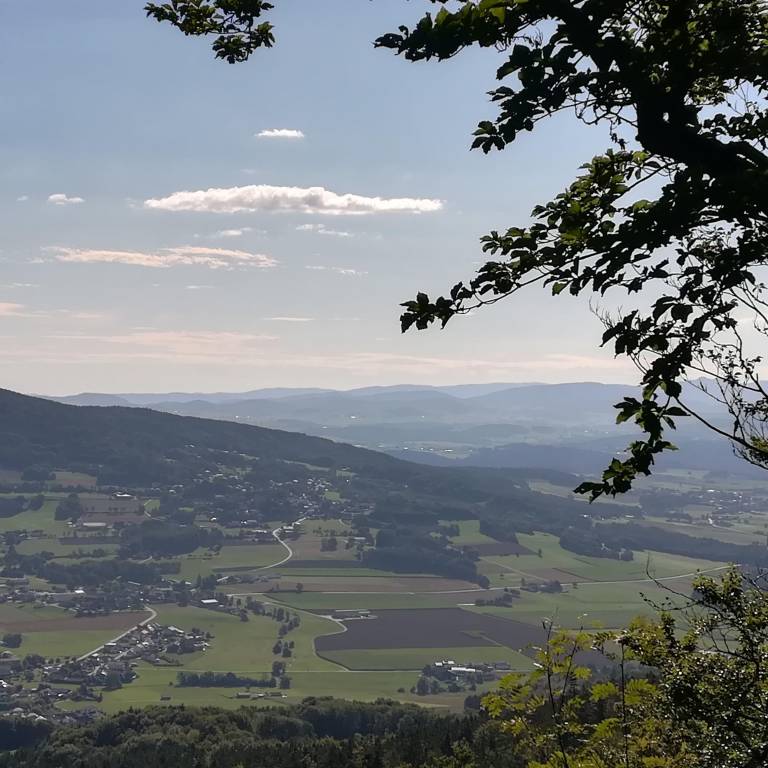 foto14