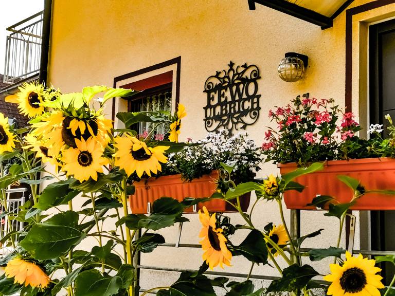 Ferienhaus  Langenstadt