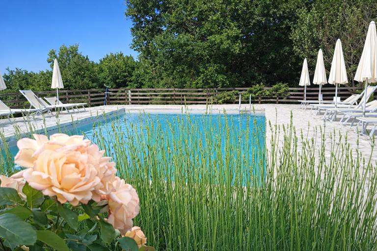 Agriturismo Nerbona: La Casina, ideale per piccoli gruppi — photo 4