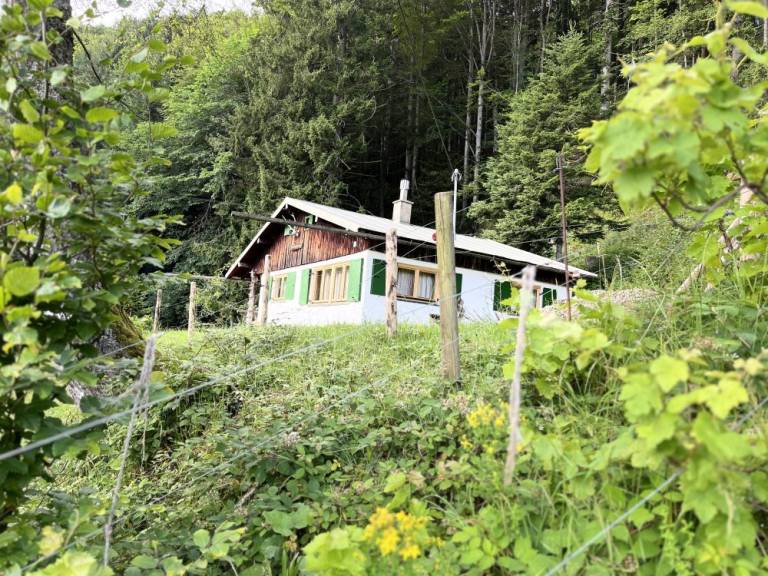 foto28