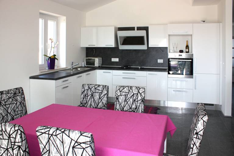 Fully equipped beautiful house with yard, private pool & grill | Garden view | Pet-friendly in Novigrad