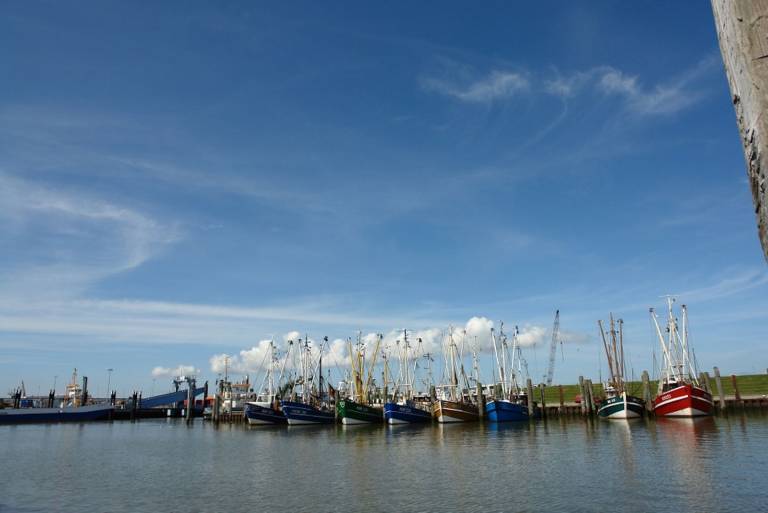 85 m&sup2; Ferienhaus