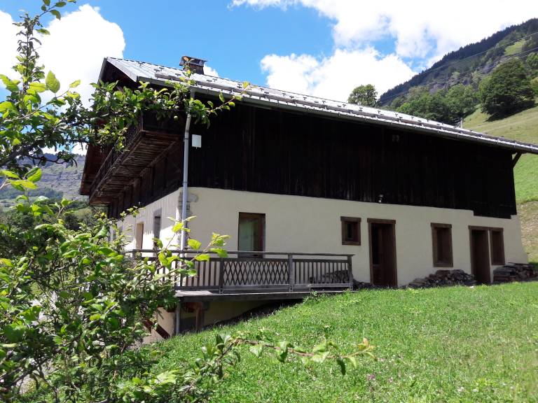 Chalet Praz-sur-Arly