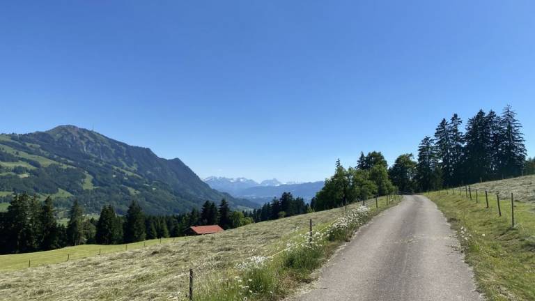 Ferienwohnung Niedersonthofen