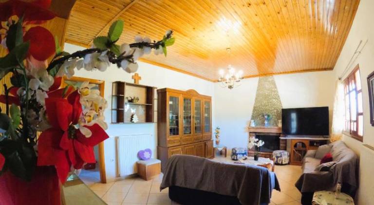 Nice house | Pets are welcome — photo 2