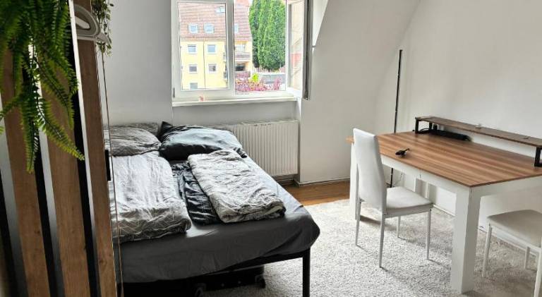 Loft near the Castle, Private Room - shared spaces and bathroom in Nuremberg