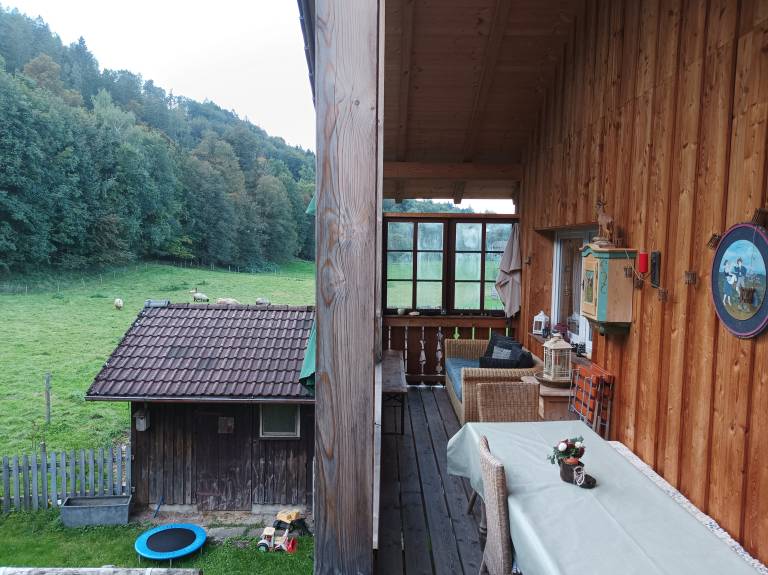 foto21