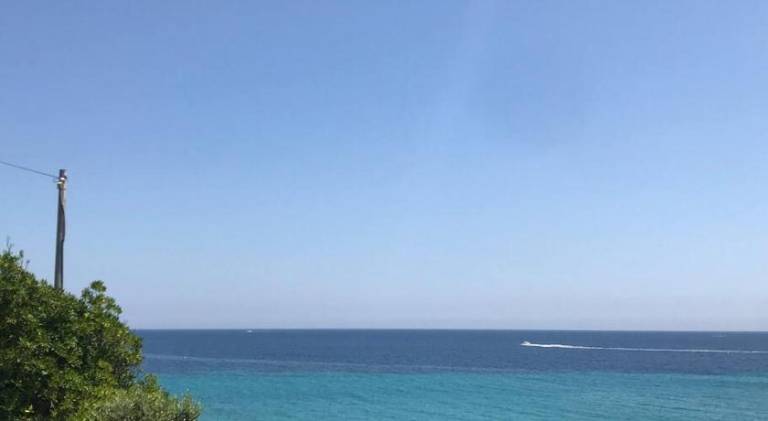 Rental apartment with 2 rooms for 5 persons in Le Lavandou