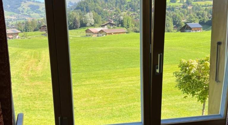 Charming holiday apartment | Dogs allowed in Saanen