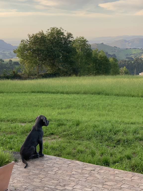 foto4