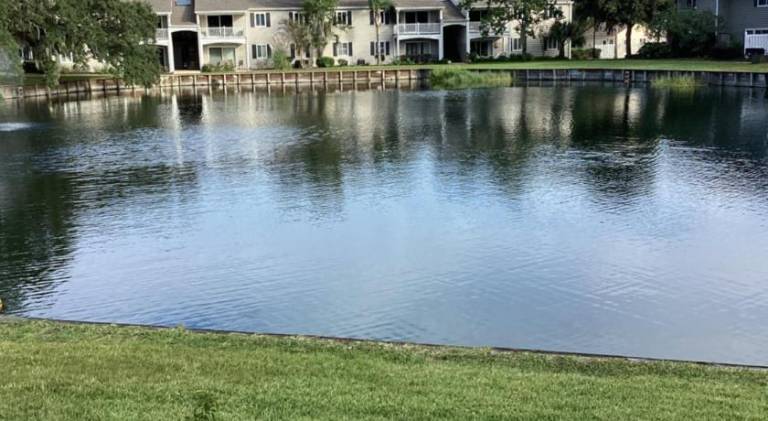 Lovely house with pool | Pet-friendly — photo 5