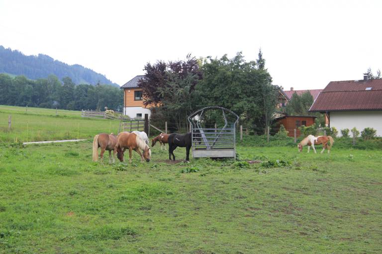 foto16