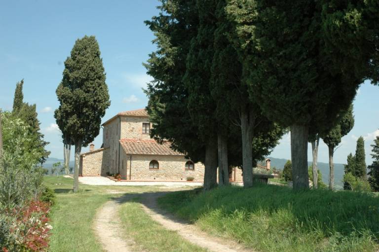 foto5