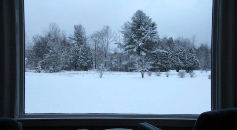 foto31