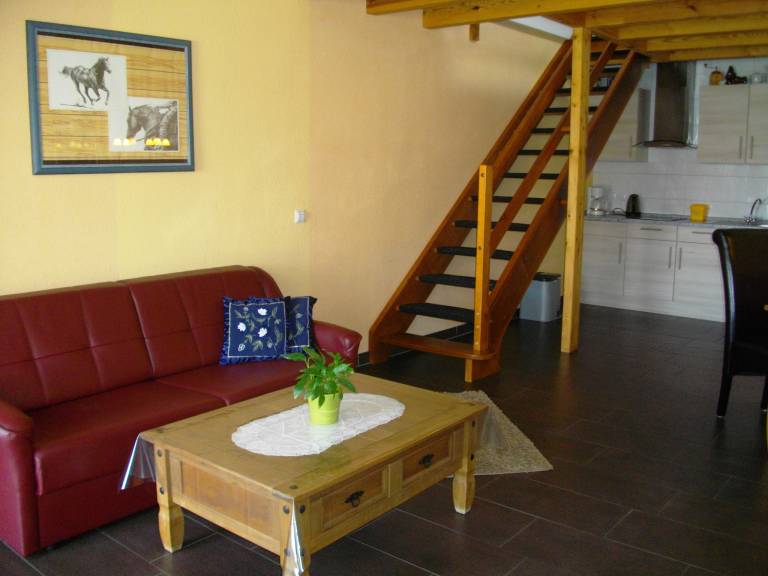 foto8
