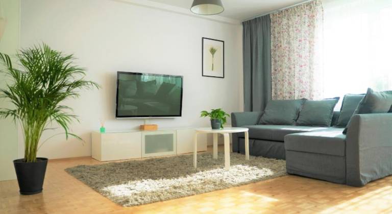 Apartament Zator