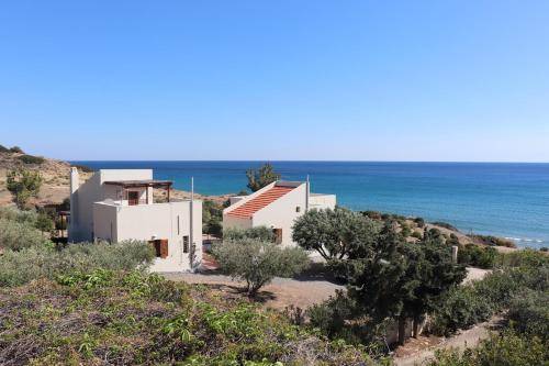 House Arvi
