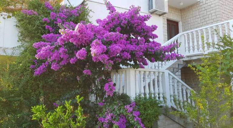 Apartment  Lopar, Croatia