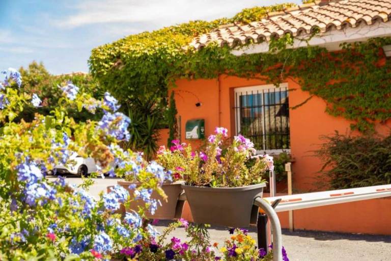 Camping  Villelongue-de-la-Salanque