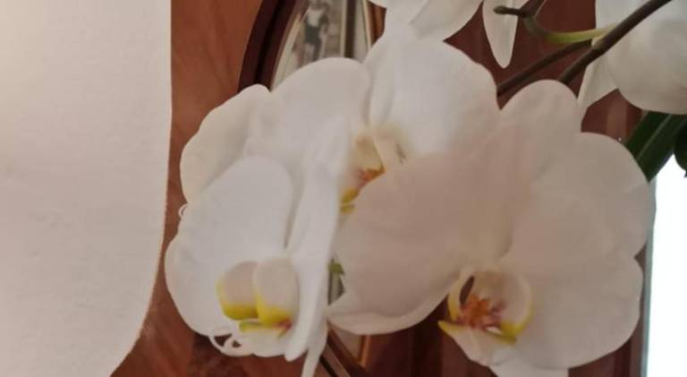 foto12