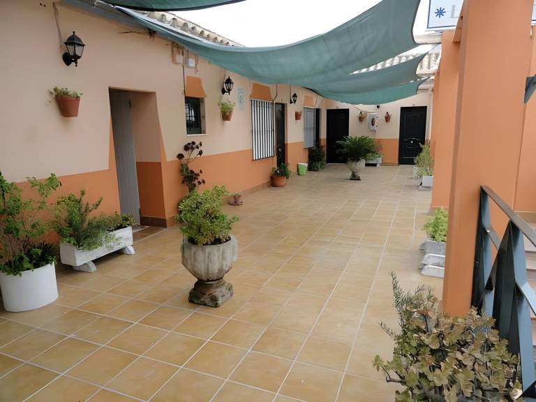 Bed and breakfast Los Gallos-Cerromolino