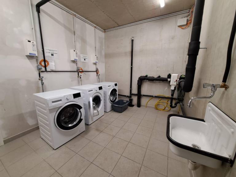 foto11
