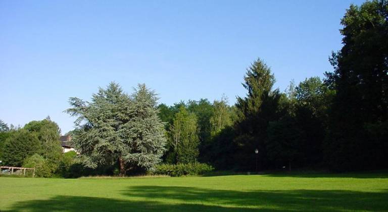 foto14