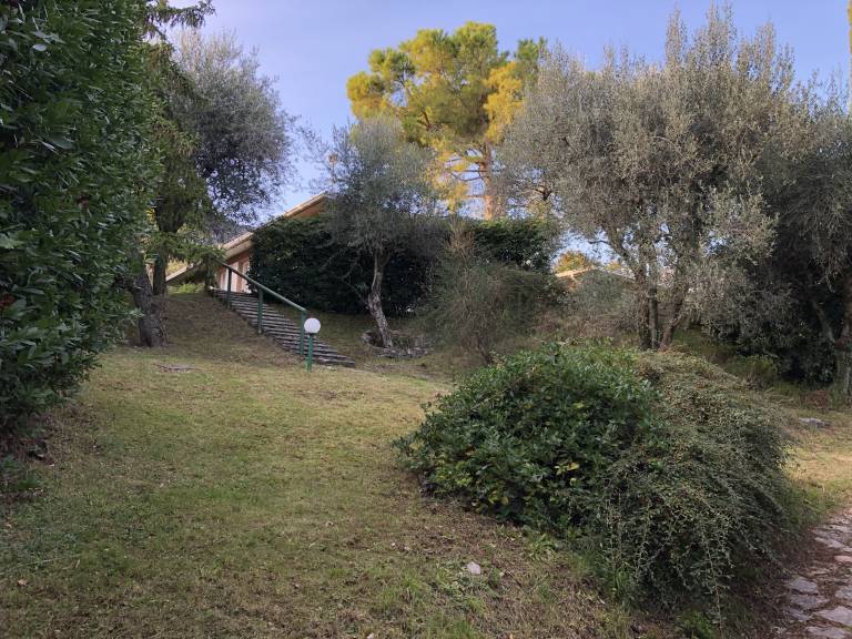 foto12