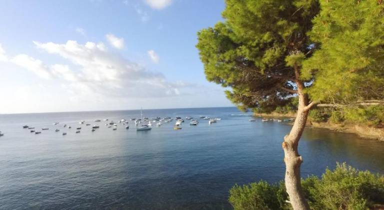 Holiday apartment with garden | Next to the beach | Pets allowed in Castellabate