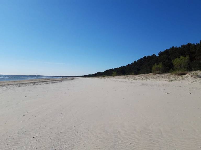 foto16
