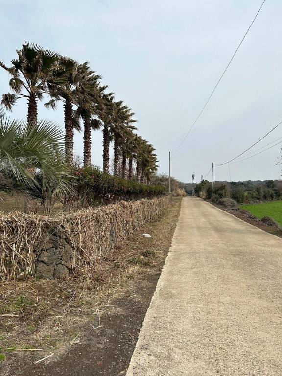 foto41