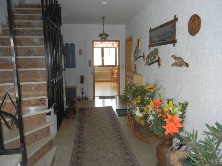 foto15