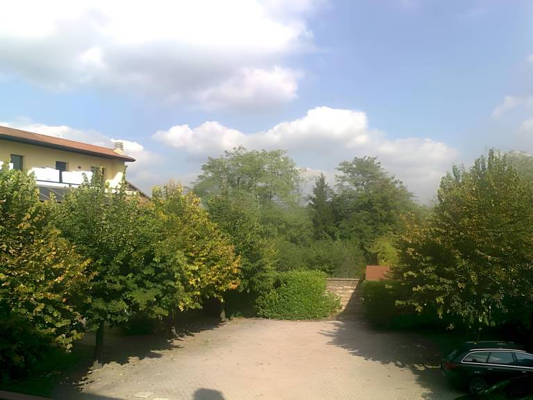 foto19