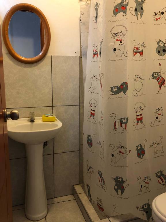 foto19