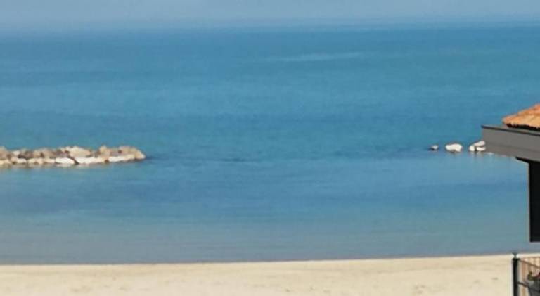Nice holiday apartment | Next to the beach | Dogs allowed — photo 5