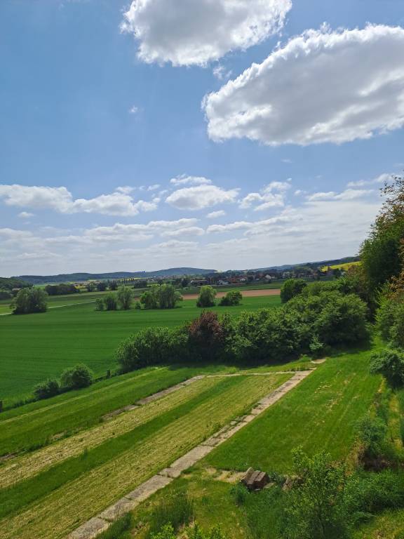 foto17