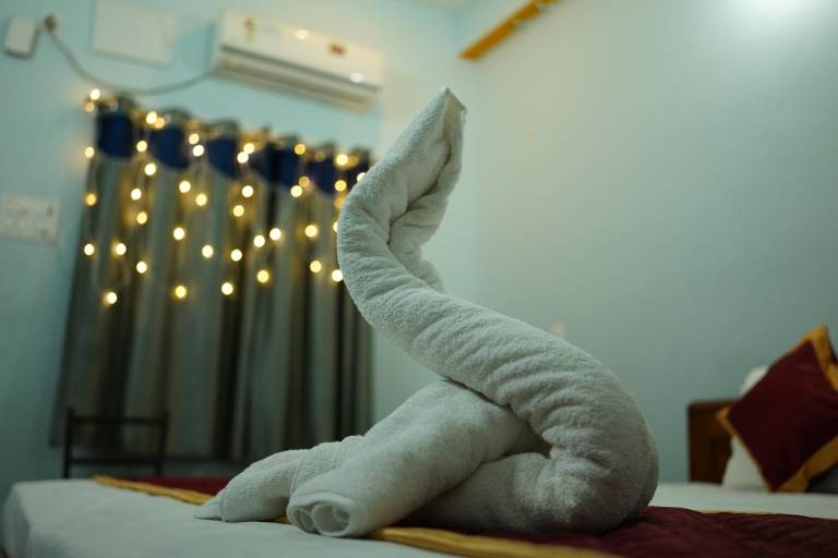 Birds Nest Pool Villa Pondicherry — photo 2