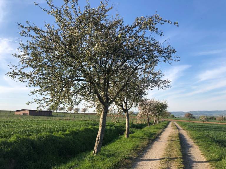 foto14