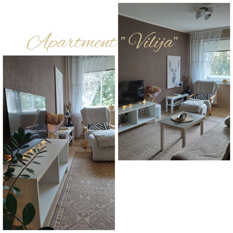 Cozy Apartmet Vilija — photo 3