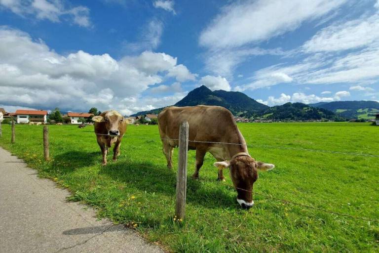 Ferienhaus Burgberg im Allgäu