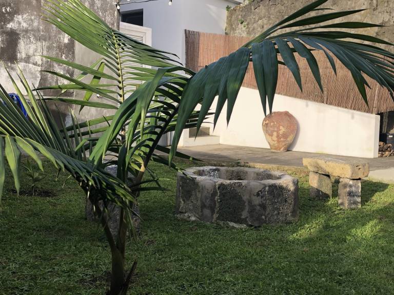 foto20