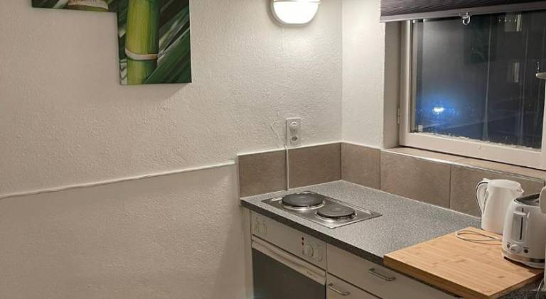 Holiday apartment | Near Basel Minster — photo 5