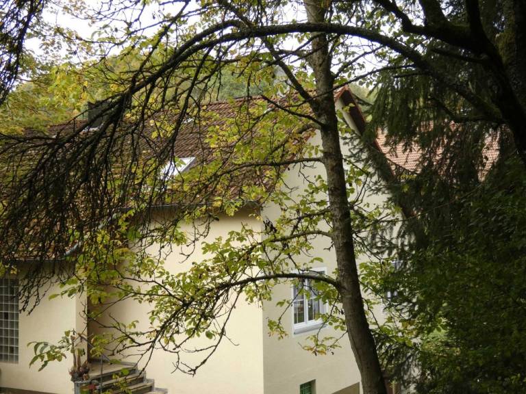 foto22