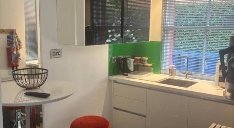Beautiful rental apartment | Pets are welcome — photo 5