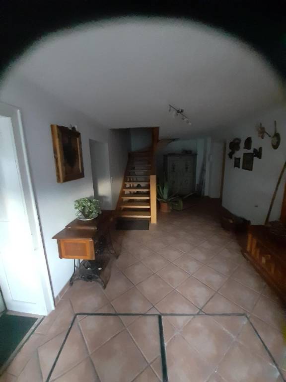 foto8