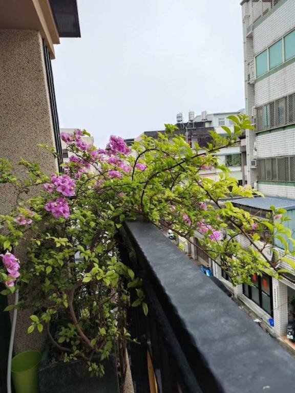 Appartamento Hualien