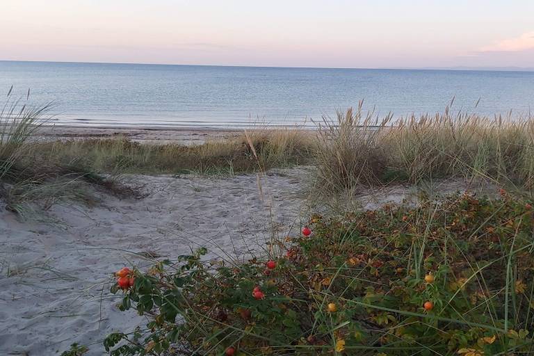 Ferienhaus in Hornbæk, Helsingør f&uuml;r max. 14 Personen