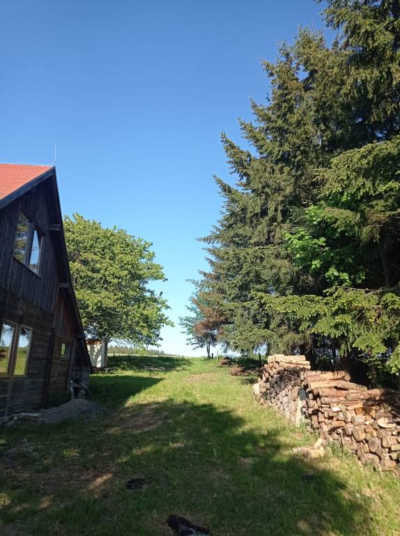 foto10