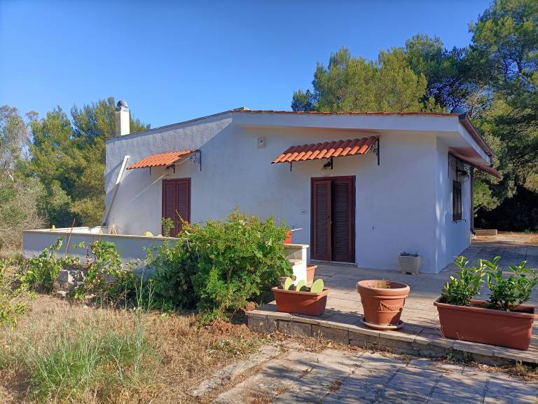 Casa Castro